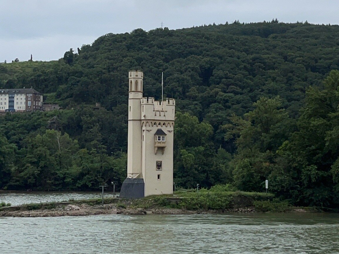 Bingen-Rudesheimer Boat Connection-莱茵河畔宾根必去景点