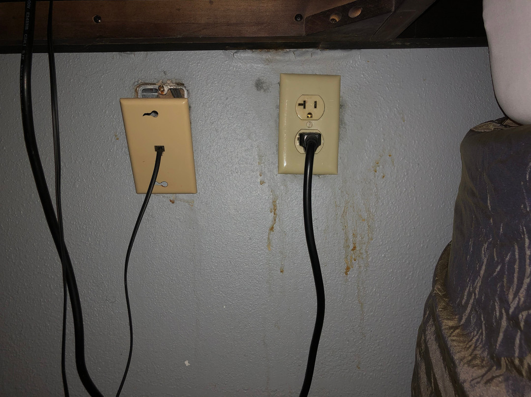 Staybridge Suites Tysons - Mclean By IHG主图