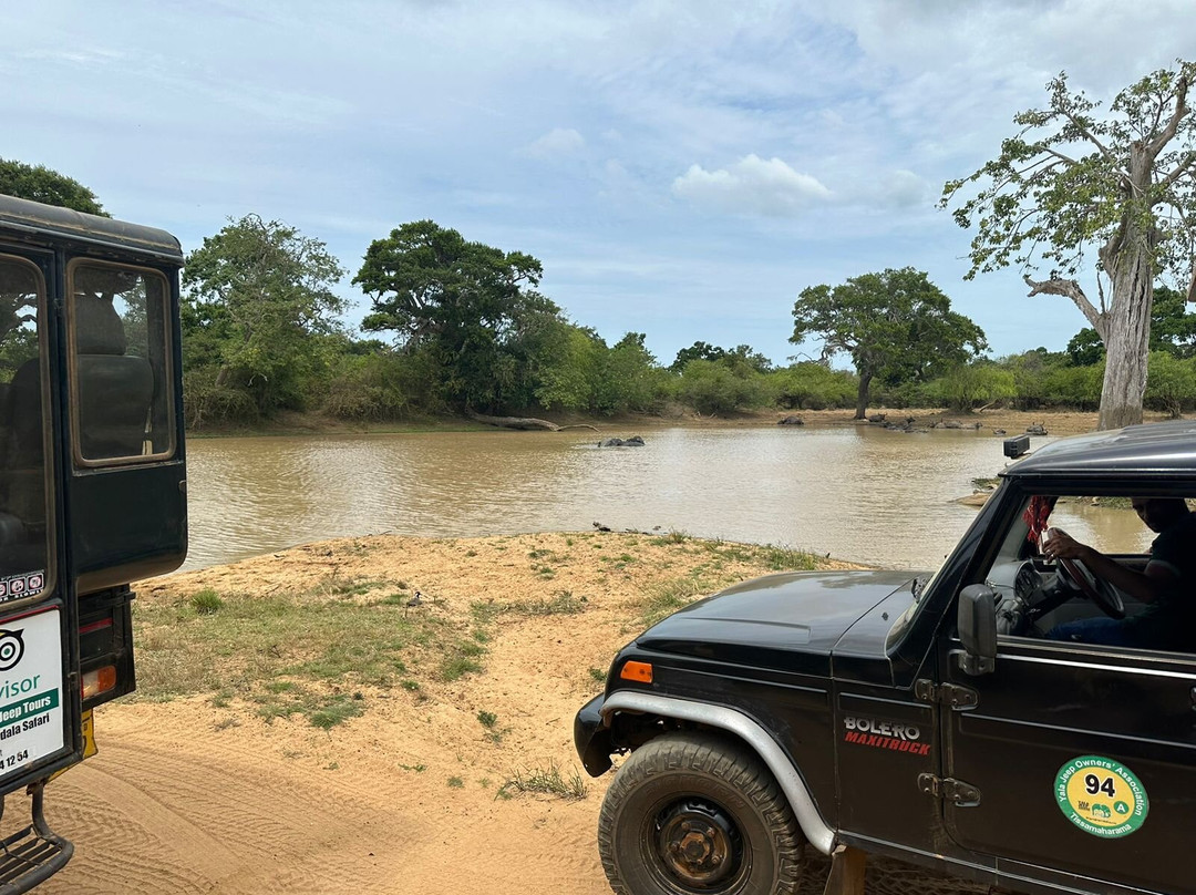 Yala Safari Tours景点图片