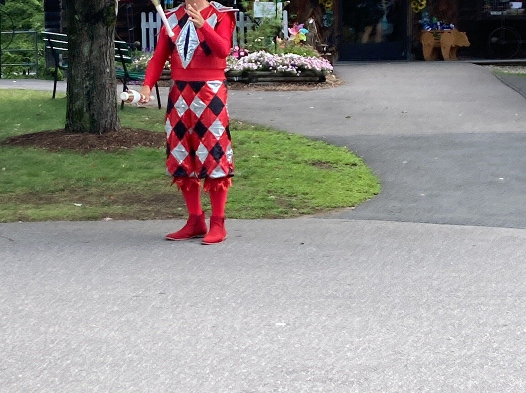 Clark's Bears-林肯必去景点