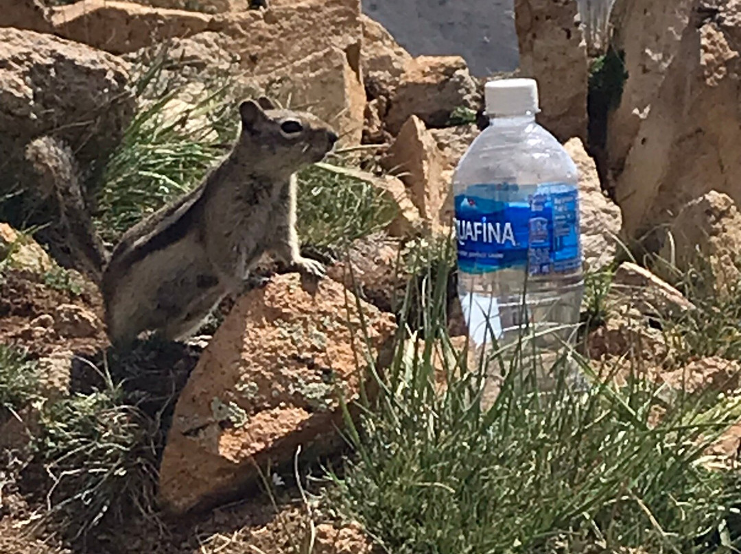 Boreas Pass Road-布雷肯里奇必去景点