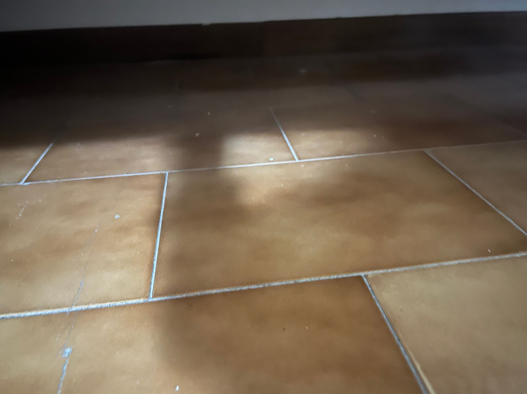 President & Nebenhaus Sporting主图