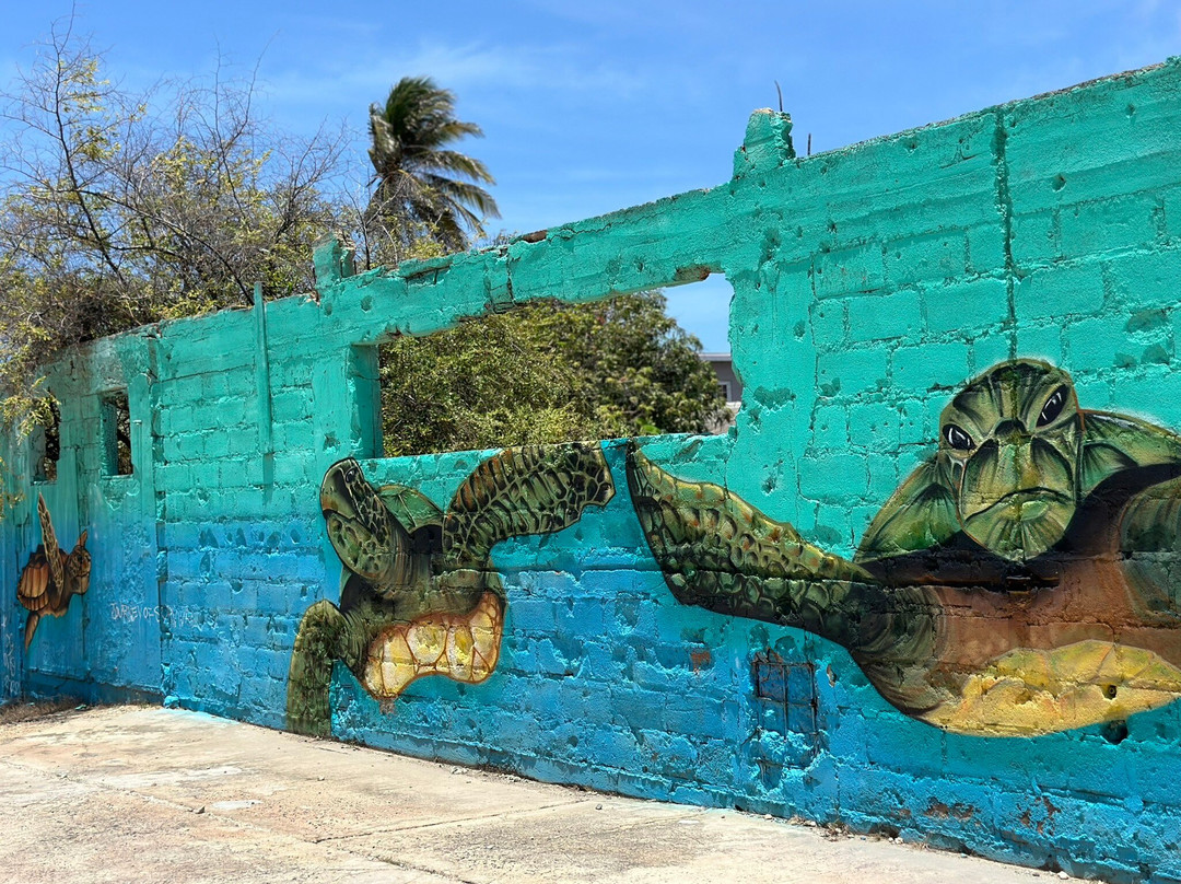 Space21.art-San Nicolas必去景点