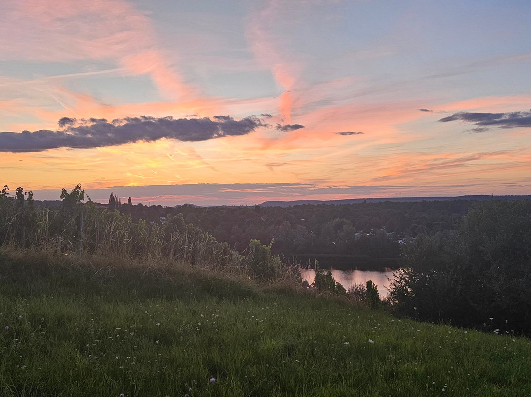 Landgasthof Hotel Roger主图