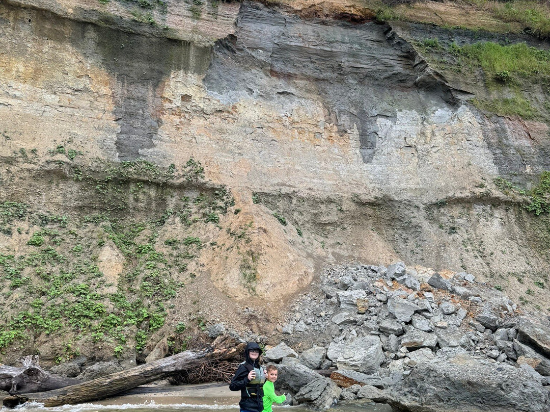 Megalodon Adventures景点图片