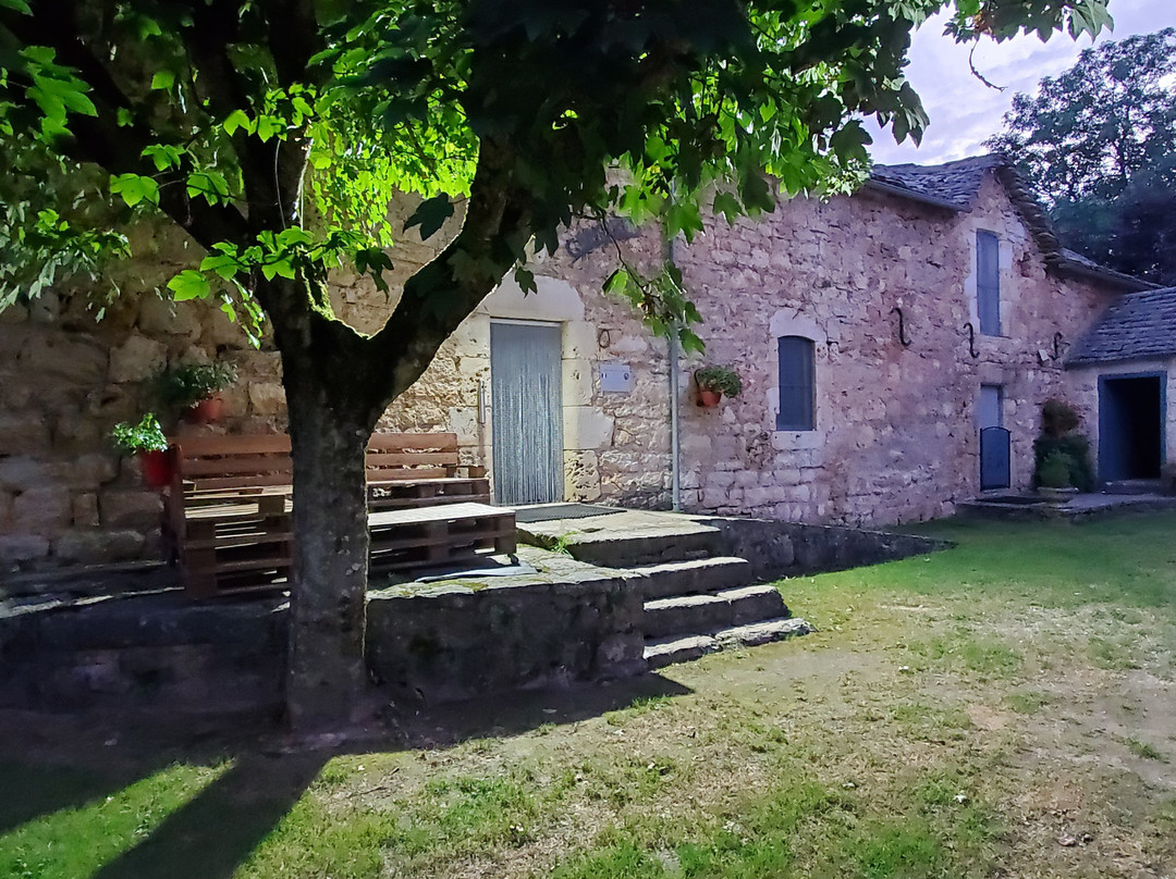 Domaine de la Vialette主图