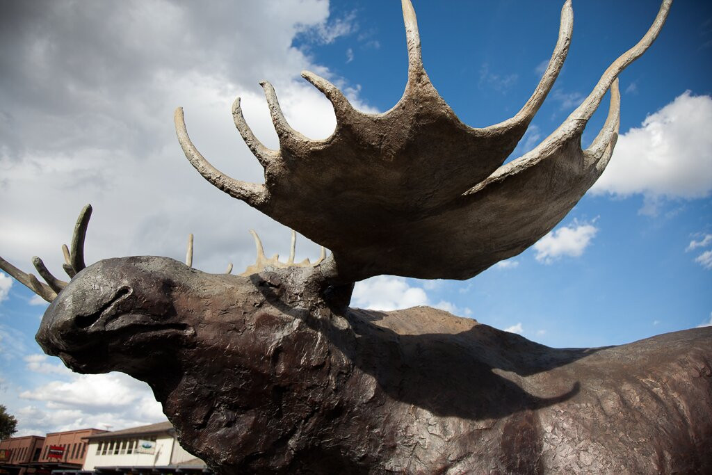 Antler Arches of Jackson-杰克逊必去景点