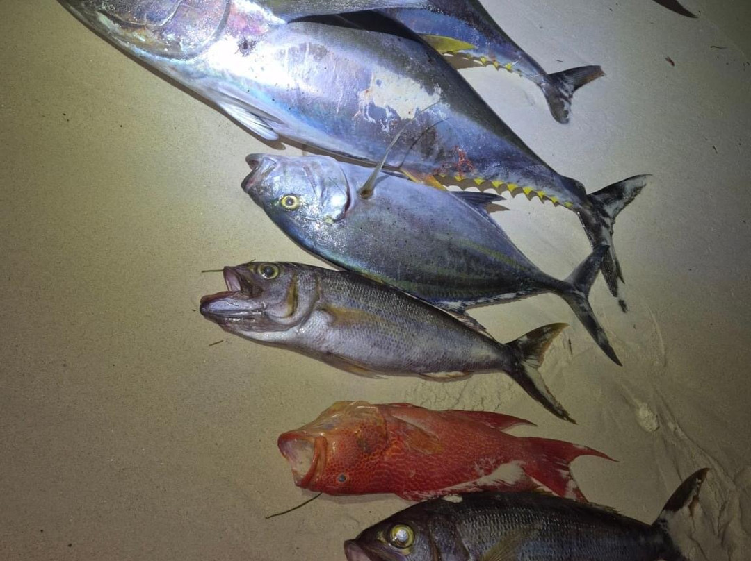 Last Cast Mauritius-蒙特乔伊喜必去景点