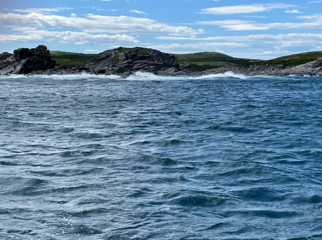 Viking Village Bed And Breakfast主图