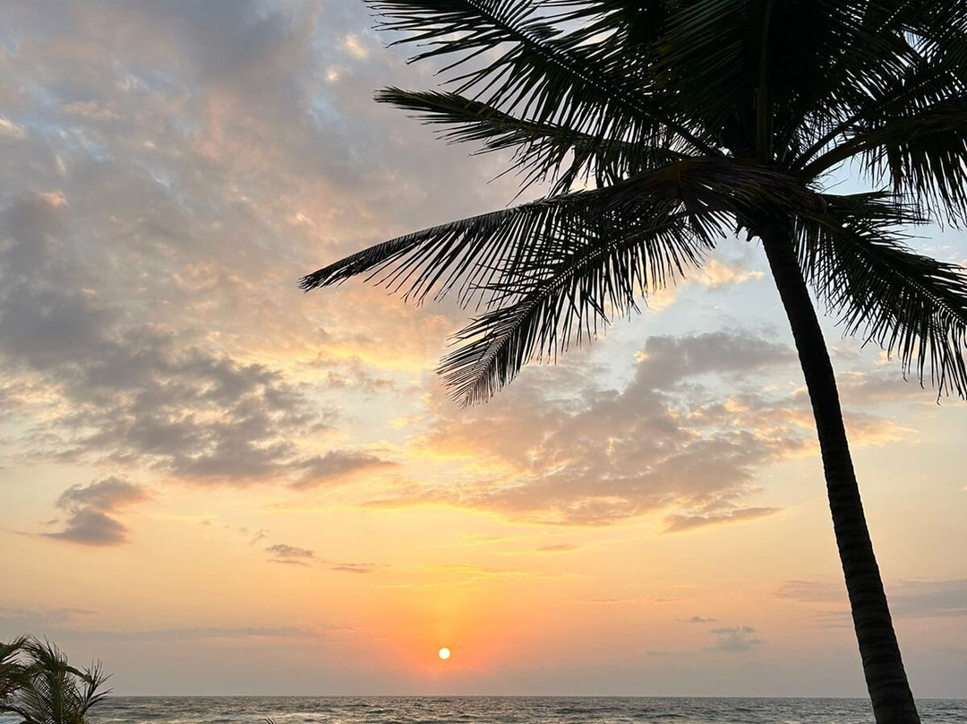 Praia Taipu de Fora-Marau必去景点