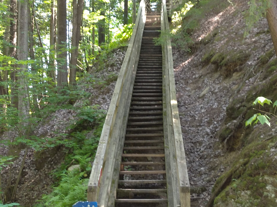 Parc des Chutes de Sainte-Ursule景点图片