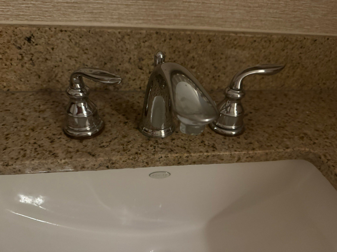 华盛顿杜勒斯万豪套房酒店主图