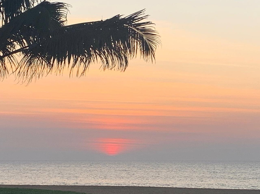 尼甘布传统酒店主图