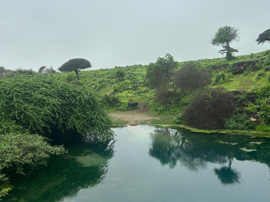 Khalid Tours-塞拉莱必去景点