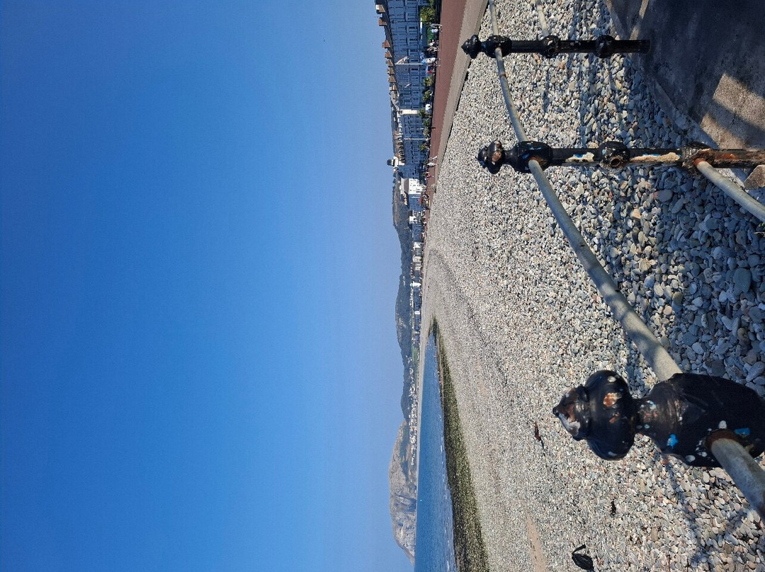 The Carmen B&B主图