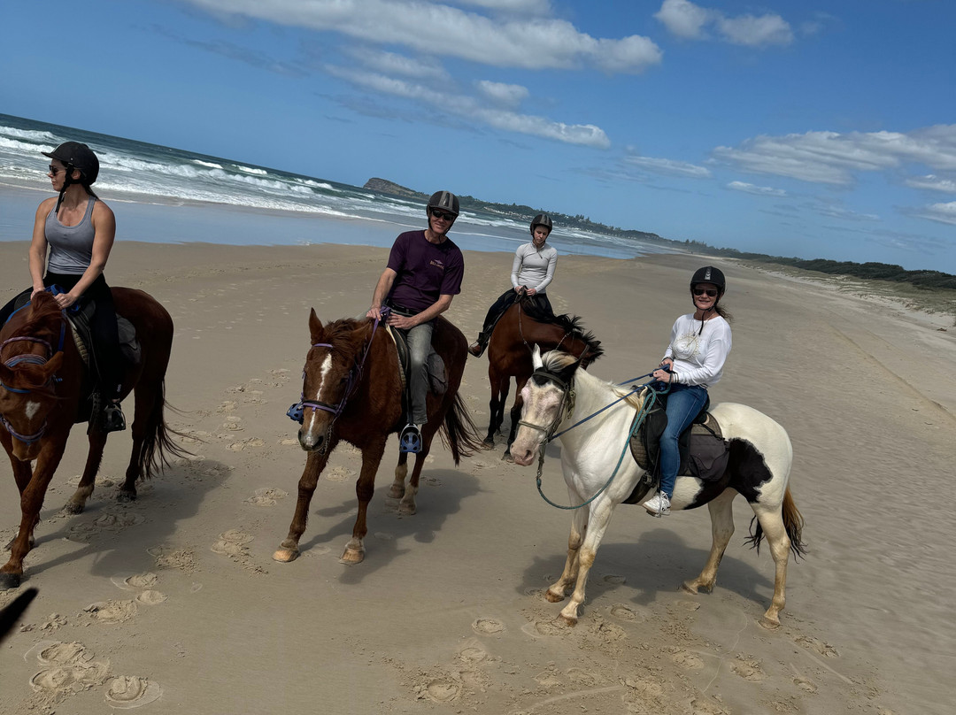 Pegasus Park Equestrian Centre-Binna Burra必去景点