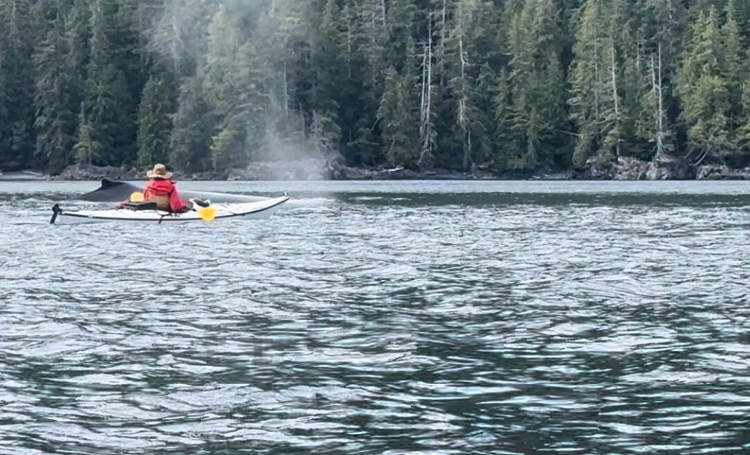 Ocean Sound Kayaking景点图片