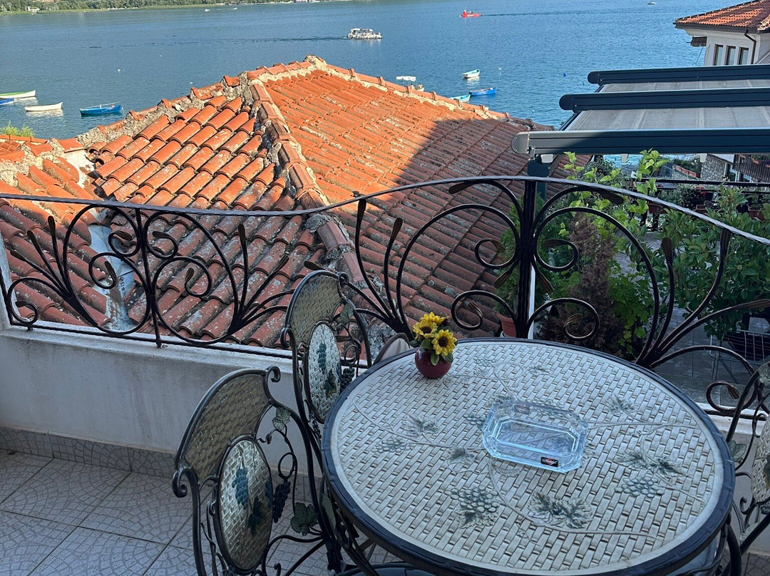 捷曼霍夫旅馆主图