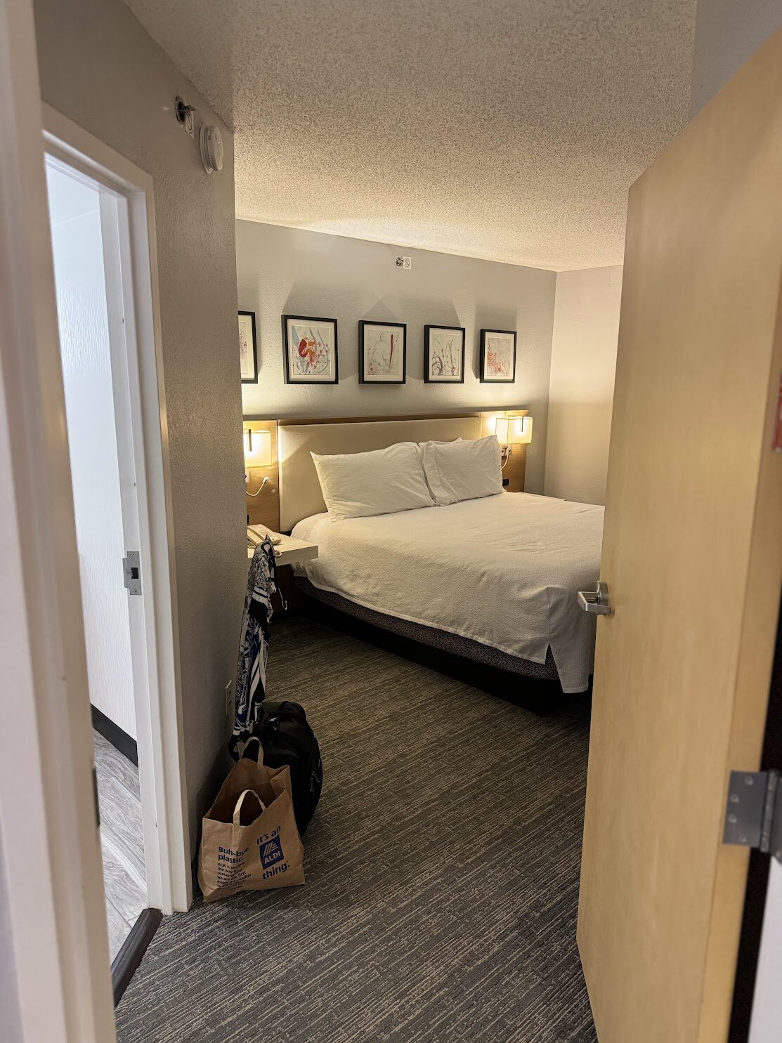 Hilton Garden Inn Atlanta North/johns Creek-客卧