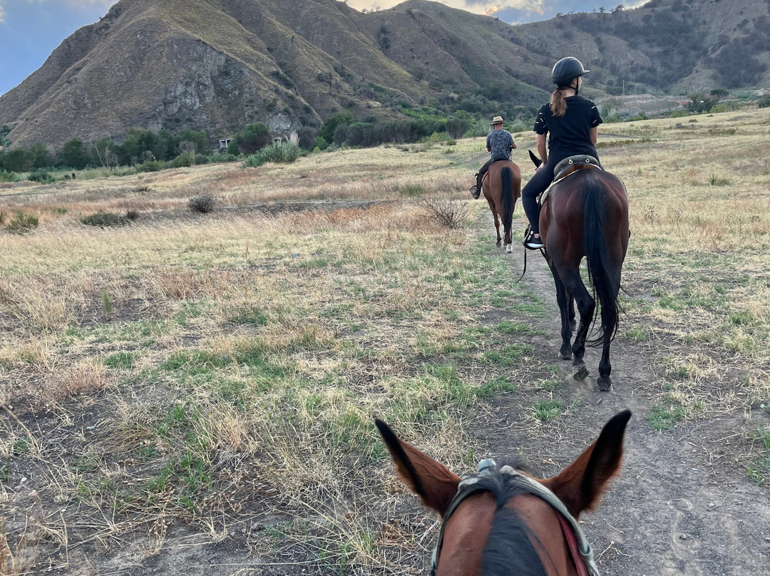 Sunshine Adventure Horses Power景点图片