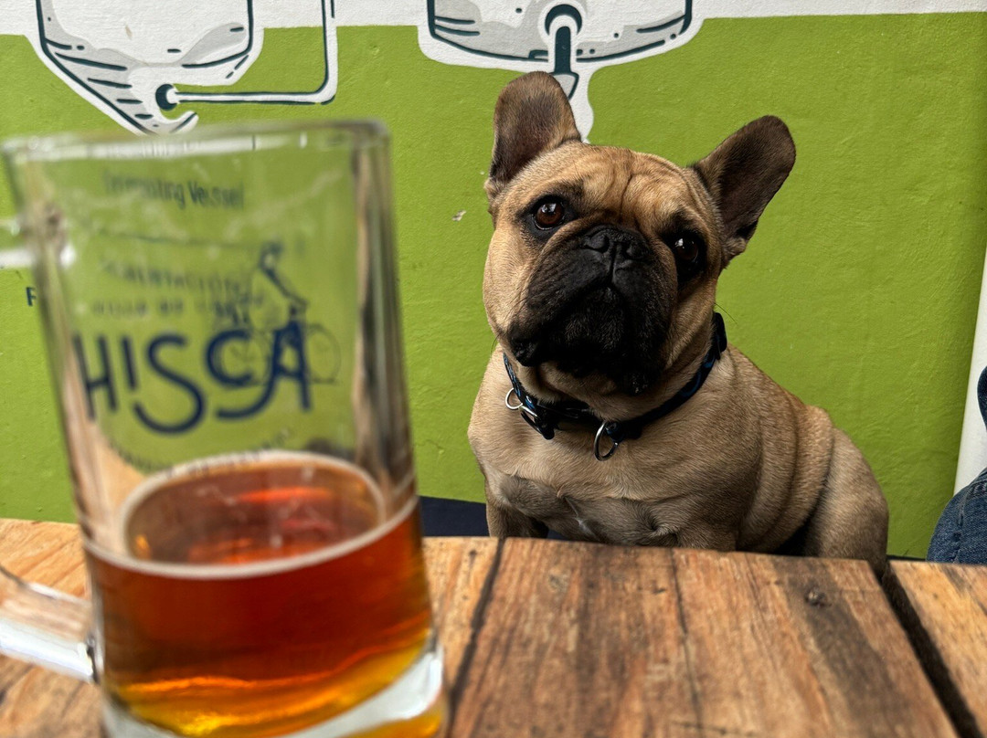 Cerveceria Hisca-莱瓦镇必去景点