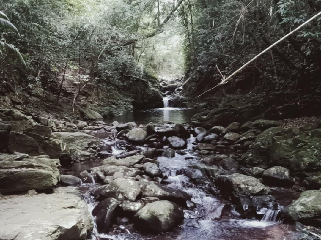 Bach Ma National Park景点图片