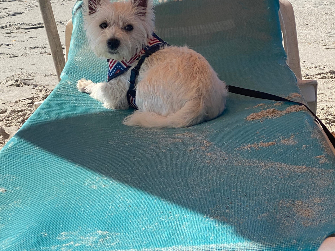 Atlantis Lodge主图