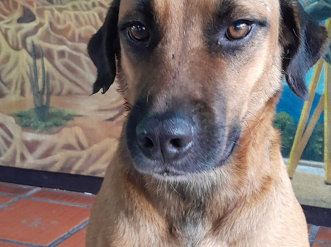 Hotel Campestre Los Gabrieles主图