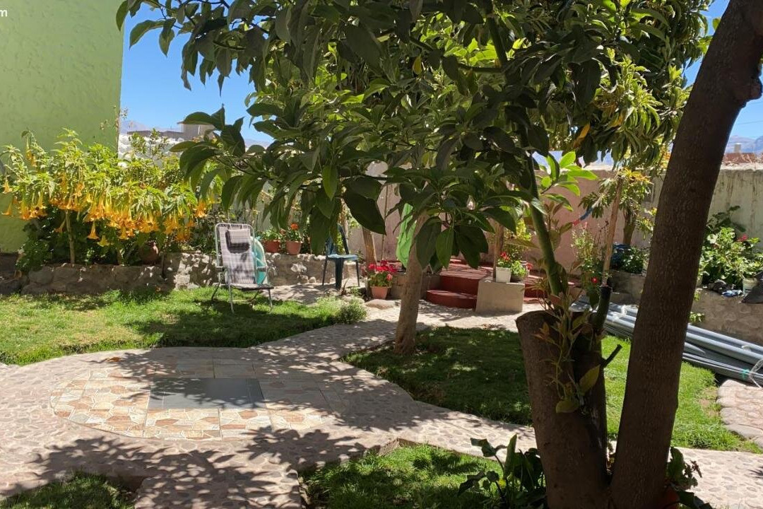 Las Palmeras Eco Hostel主图