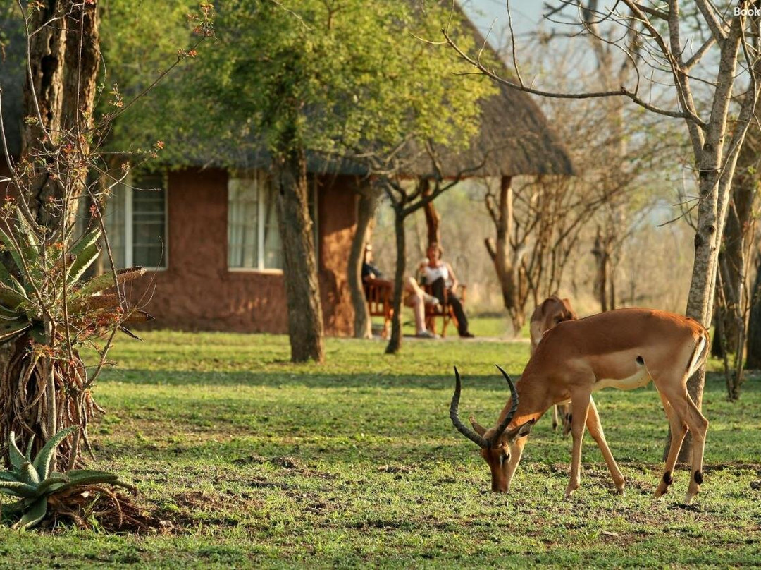 哈雷恩皇家国家公园山林小屋主图