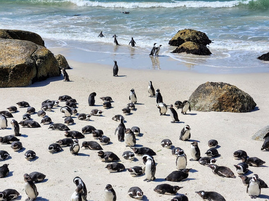 Connect Travel SA-斯泰伦博斯必去景点