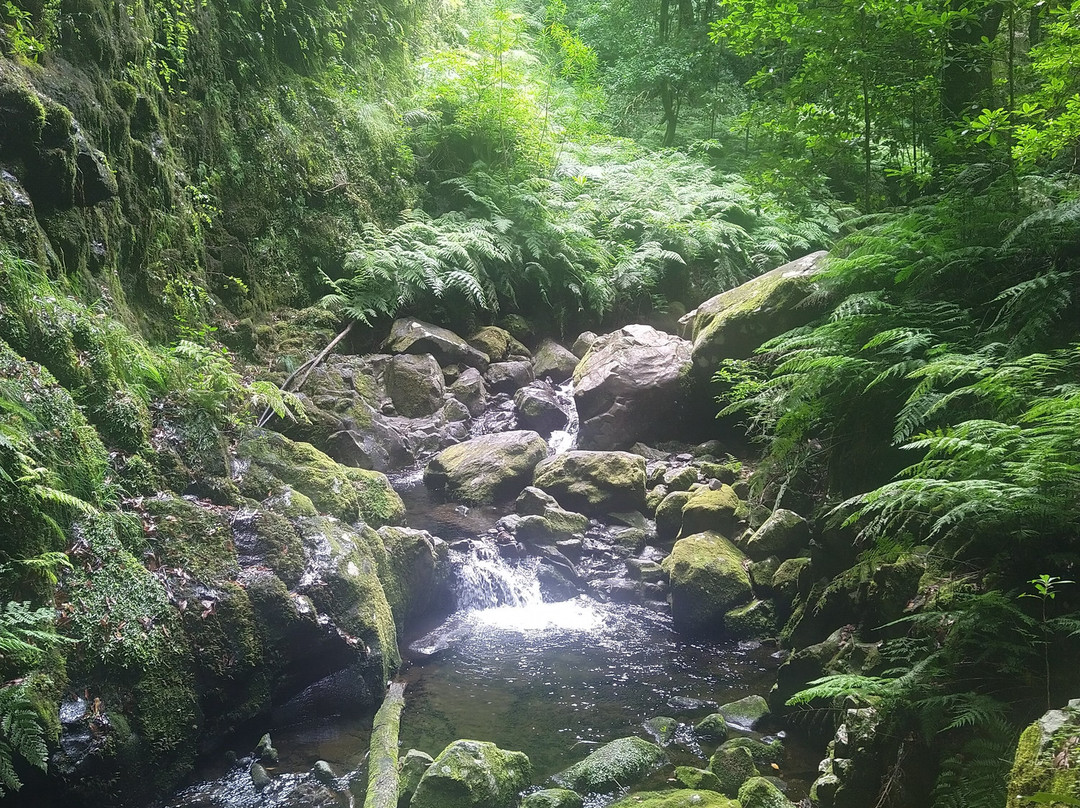 Levada Do Reí-Sao Jorge必去景点
