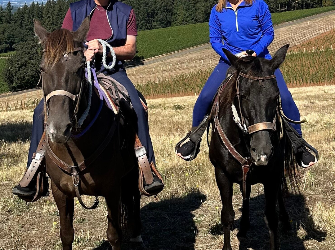 Equestrian Wine Tours-Carlton必去景点