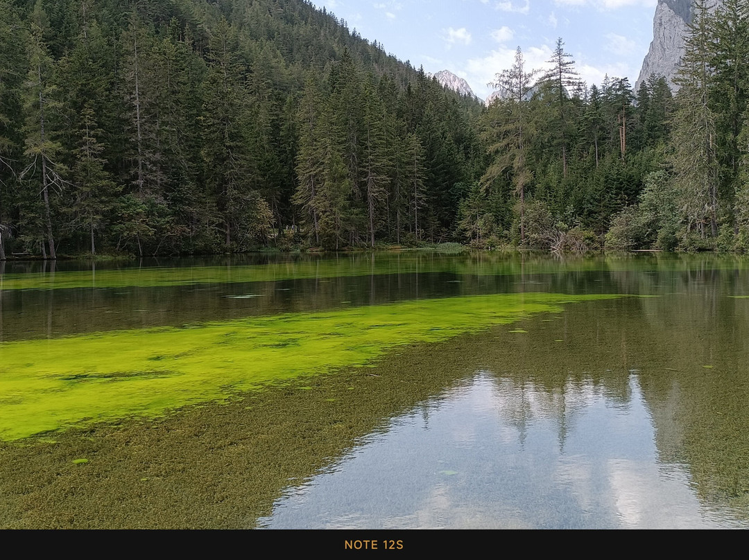 Grüner See-Oberort必去景点