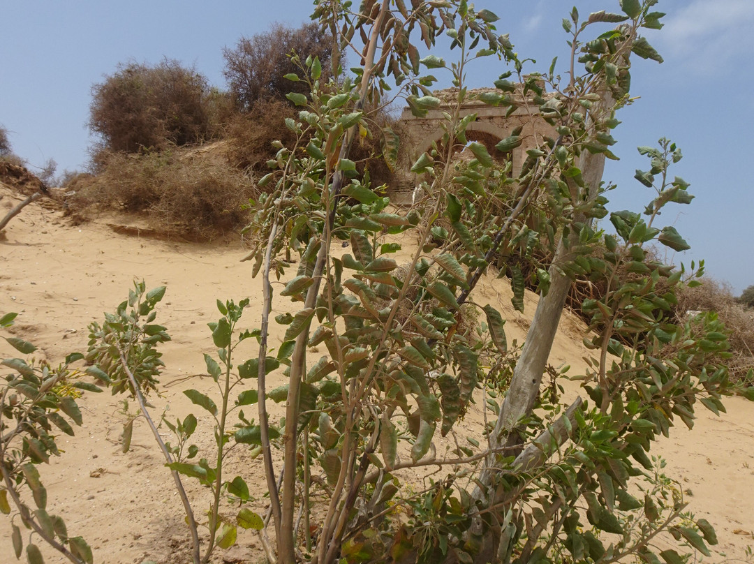 Dar Sultan Palace-Diabat必去景点