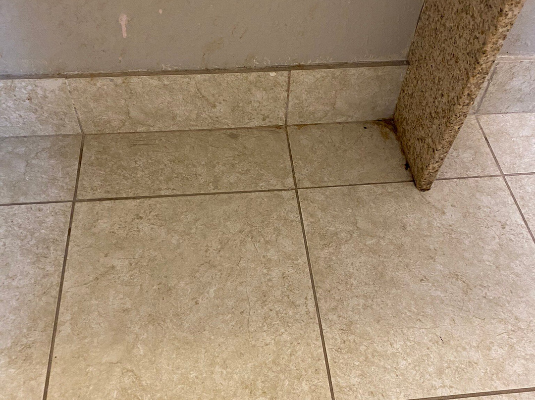 La Quinta Inn & Suites by Wyndham Lindale主图