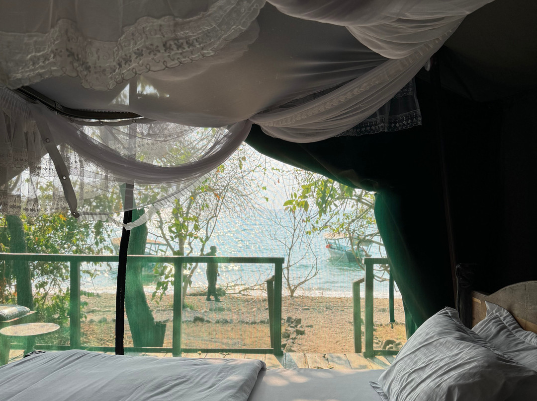 Gombe Safari-Kigoma必去景点