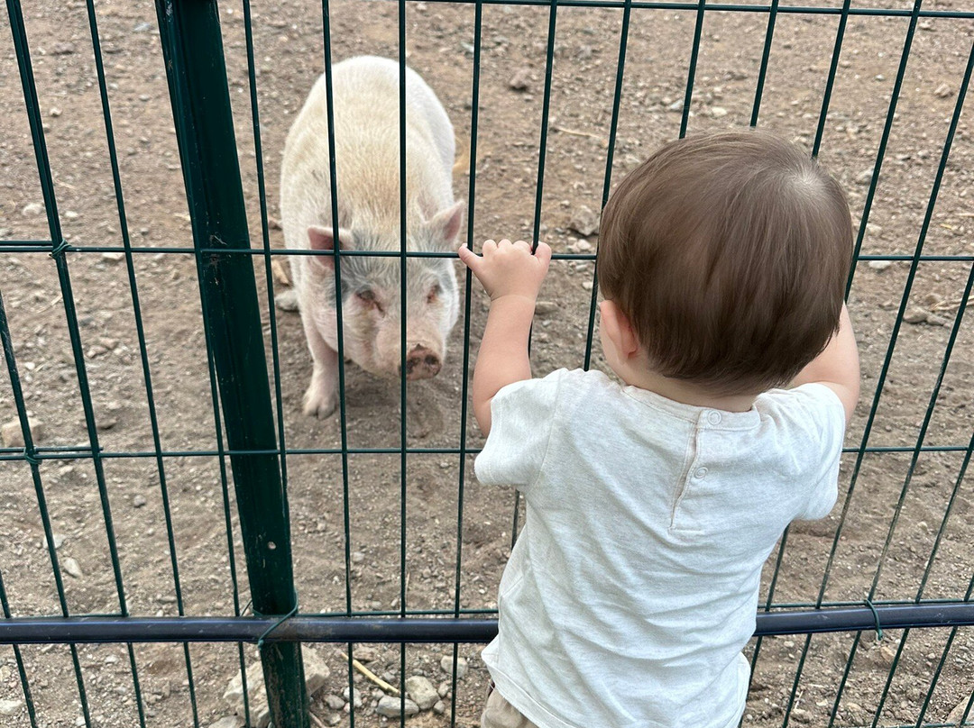 Corsica Zoo-Olmeta di Tuda必去景点