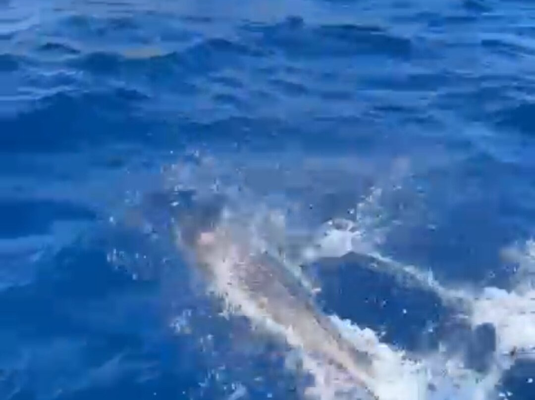 Sailover-卡利亚里省必去景点