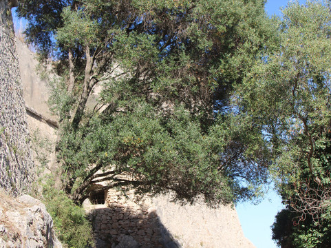 Fort Mont-Alban-尼斯必去景点