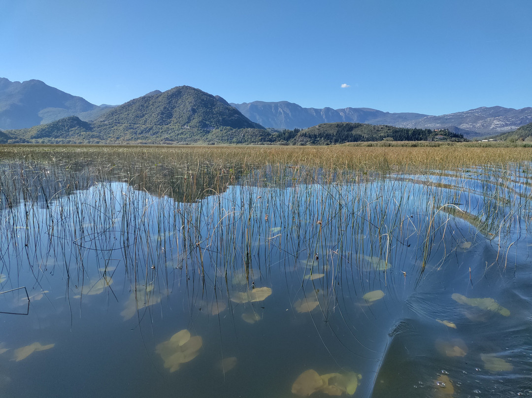 Monte Frog Boat Cruise-维尔巴札拉必去景点