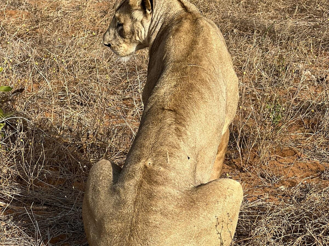 Gichmak Safari Kenya-Galu Beach必去景点