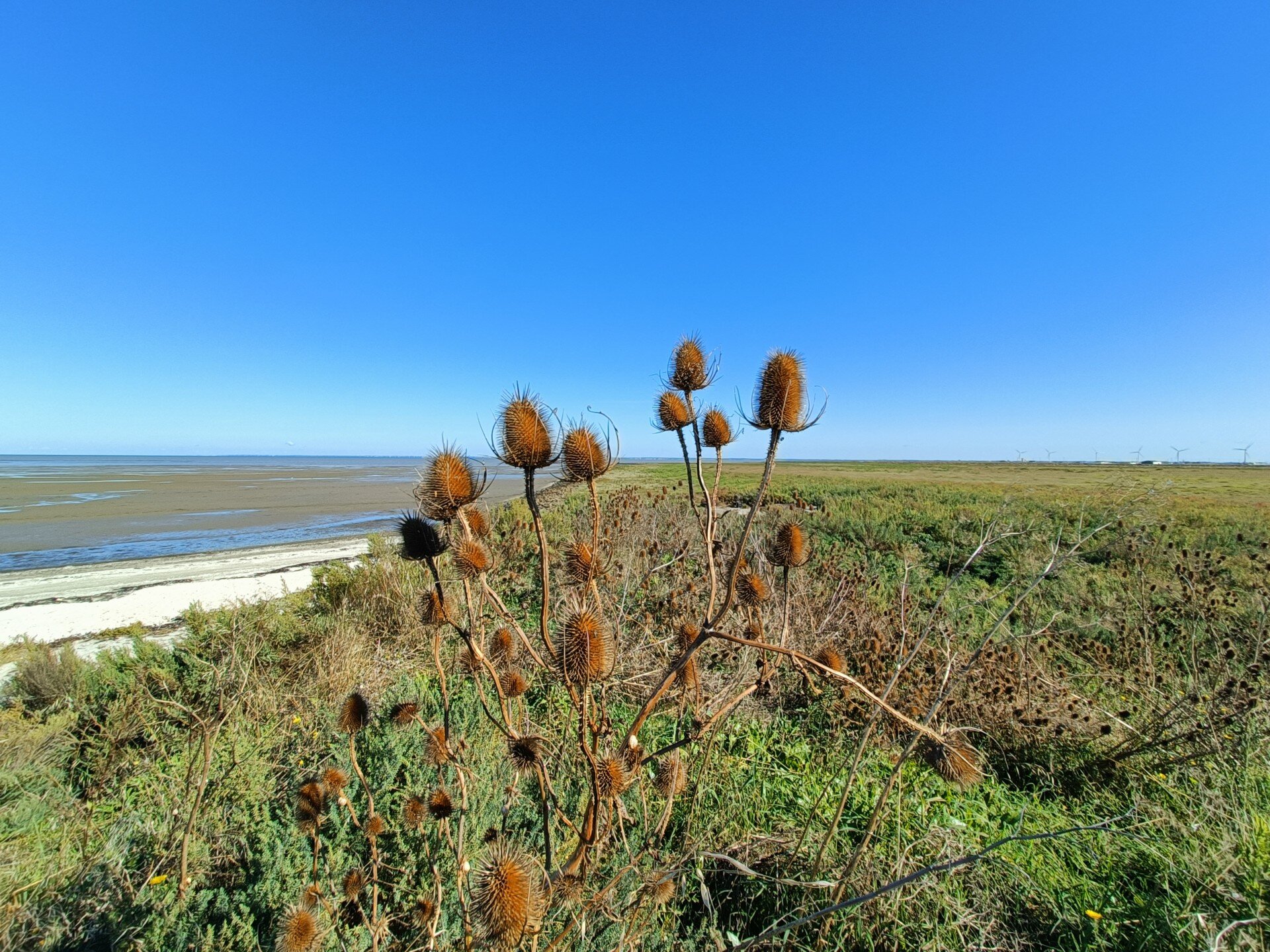 Gîtes Au Passage du Gois-官方