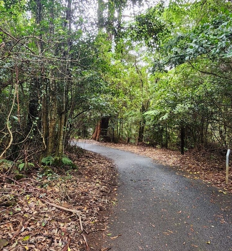 Illawarra Fly Treetop Walk景点图片