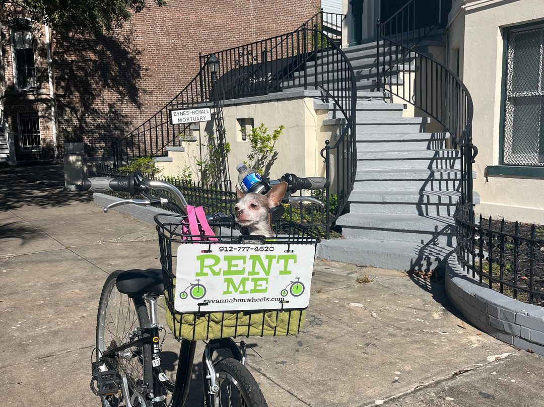 Savannah On Wheels-萨凡纳必去景点