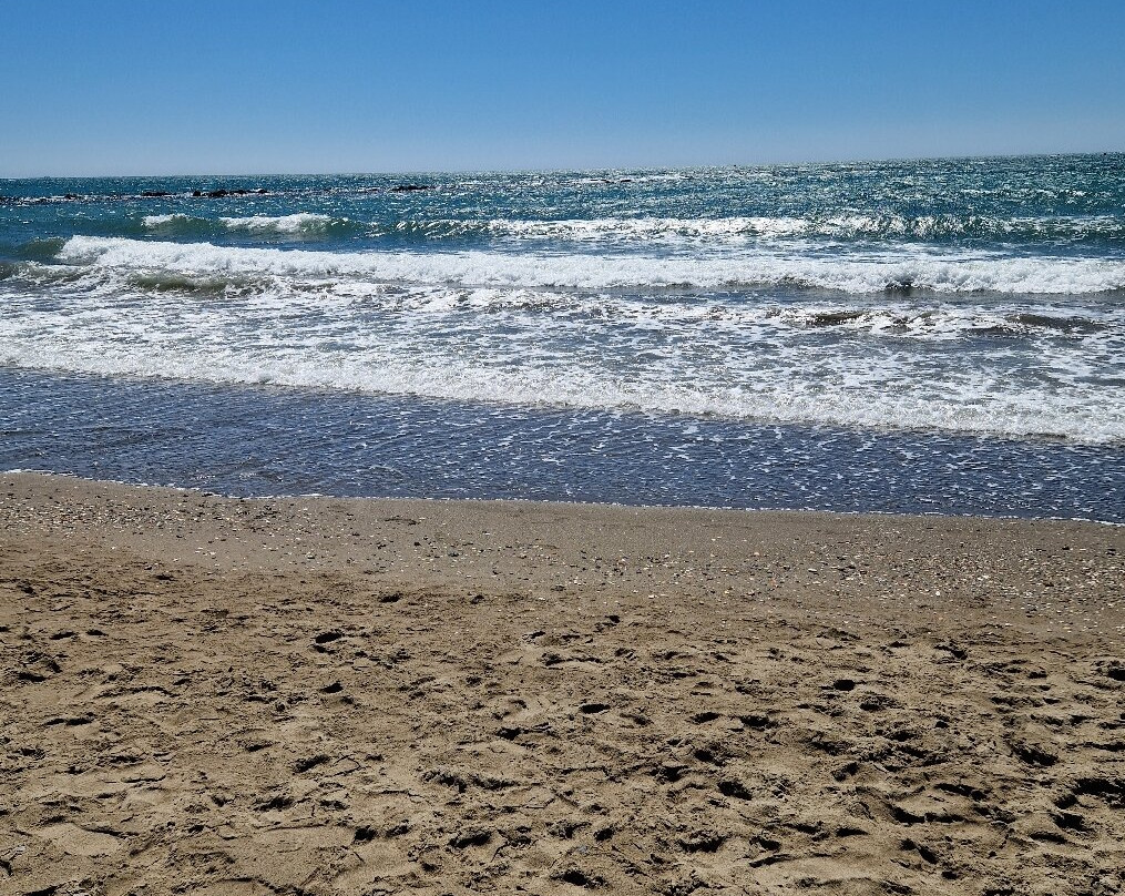 Praia da Coelha景点图片