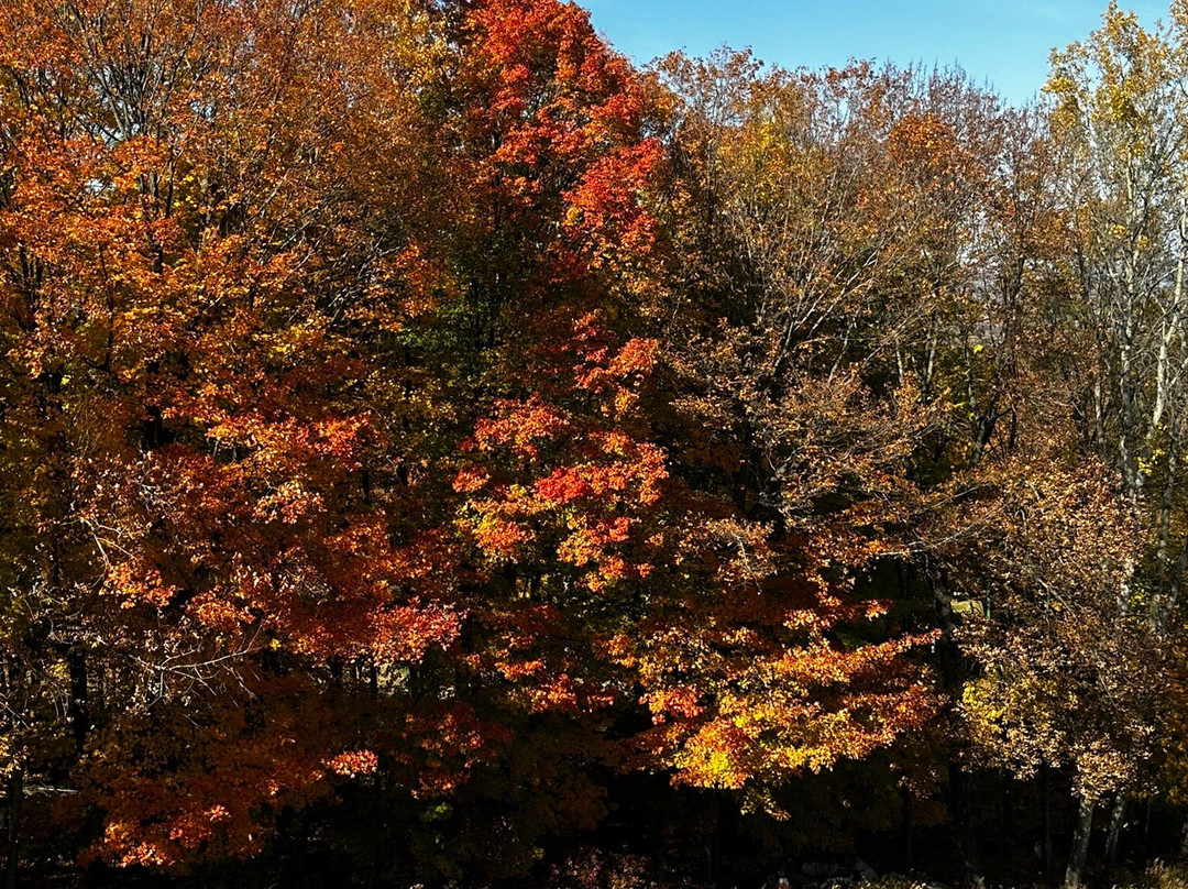 Rib Mountain State Park-Wausau必去景点