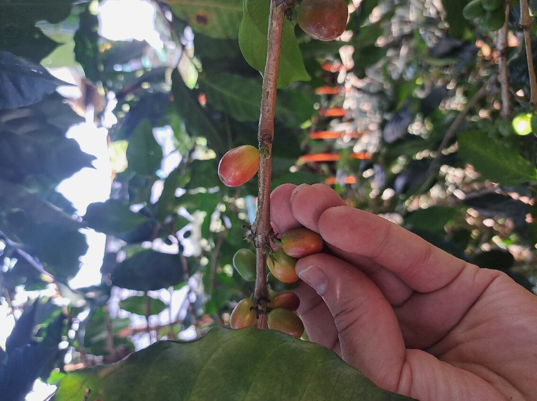 Recuca-Calarca必去景点