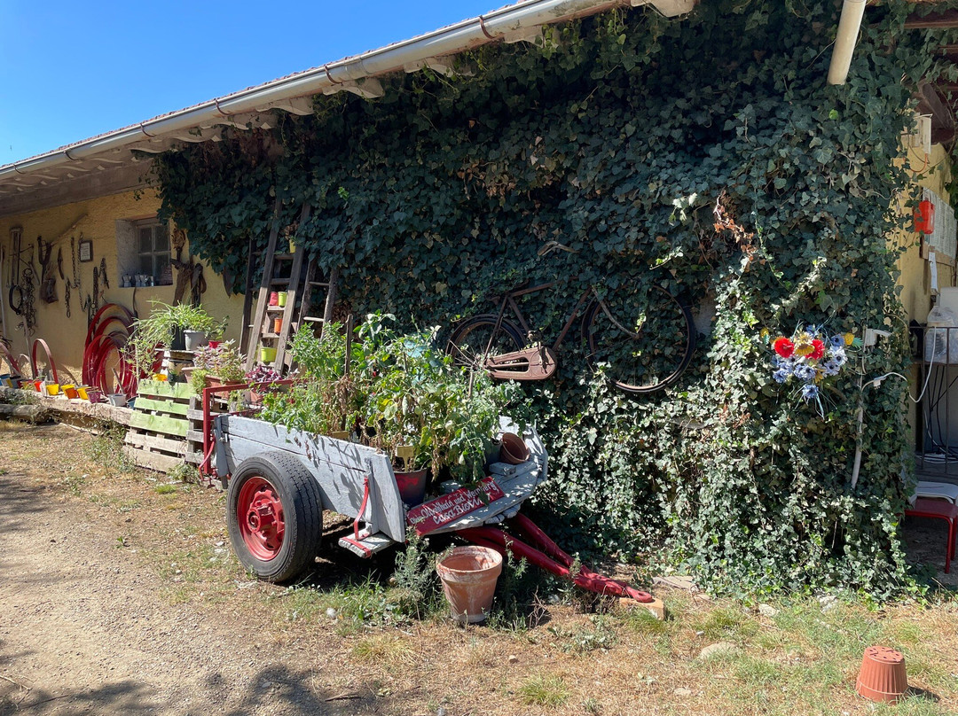 Agriturismo Casa Bistino主图