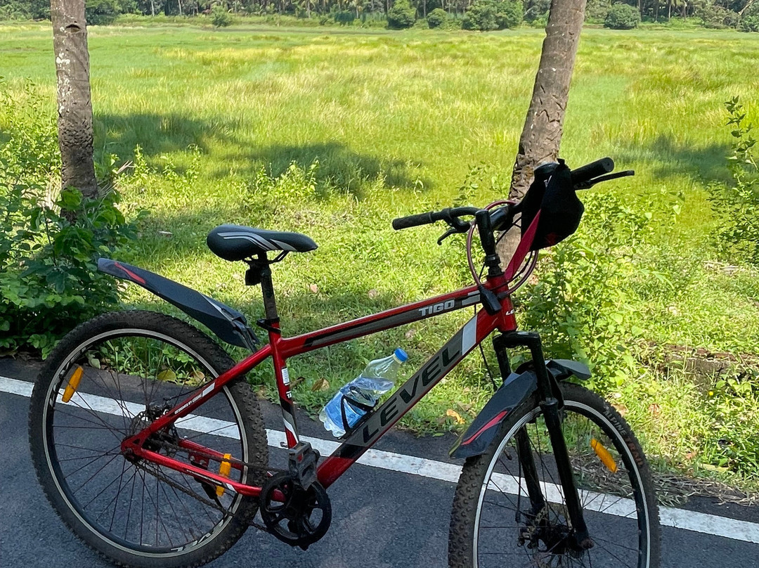 Resort Palmeiras Dourado主图